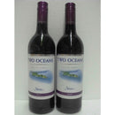 TWO OCEANS SHIRAZ (750ML)