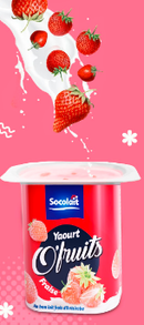 Yaourt O'Fruits SOCOLAIT 100 g