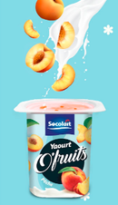 Yaourt O'Fruits SOCOLAIT 100 g
