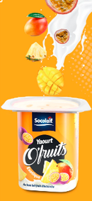 Yaourt O'Fruits SOCOLAIT 100 g
