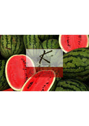 Pastèque (1 pièce)