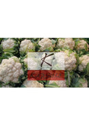 Chou Fleur (1 pièce)