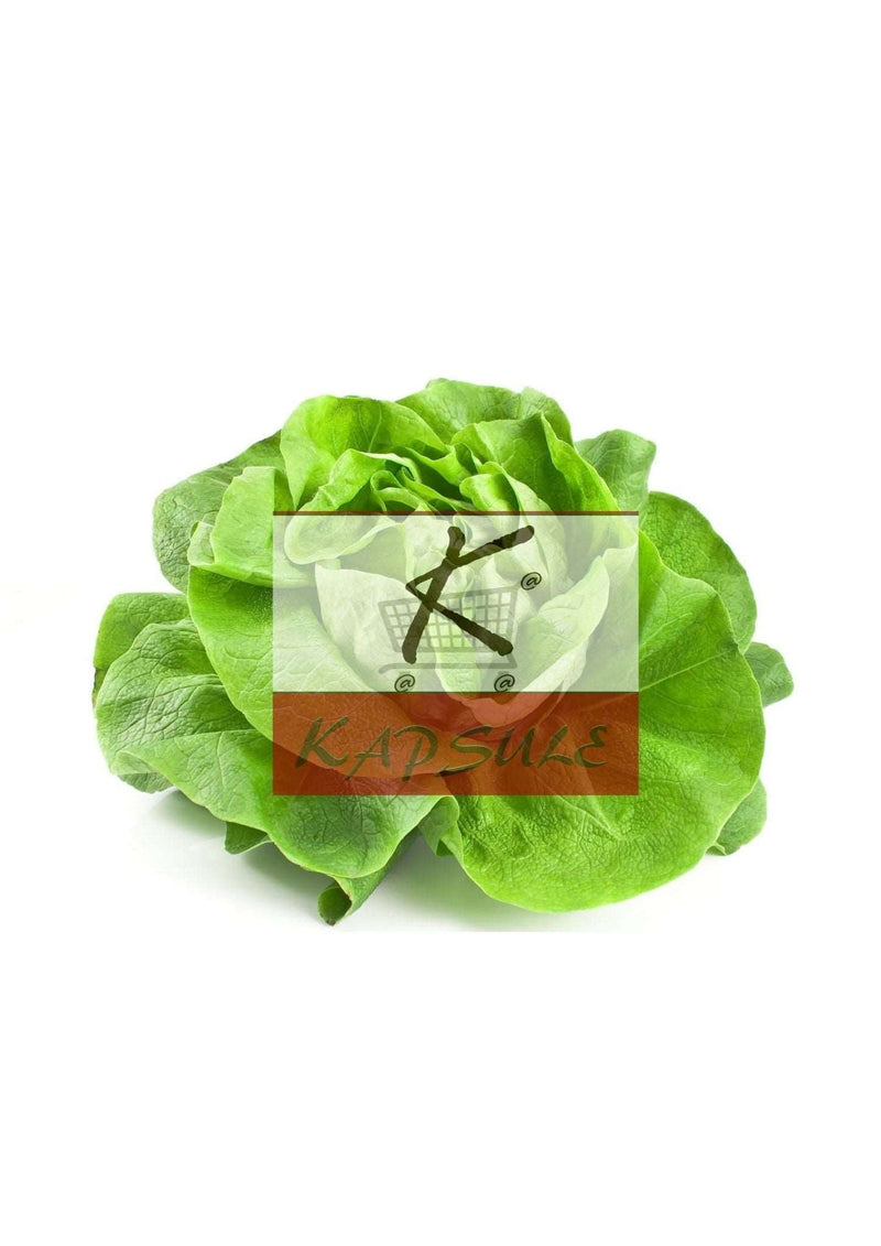 Salade laitue (3 pièces)