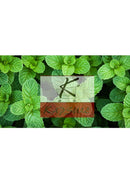 Menthe (1 botte)