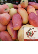 Mangue 1 kg