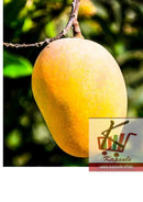 Mangue 1 kg