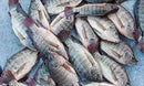 Poisson Tilapia 1 kg