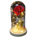Rose éternelle sous cloche en verre