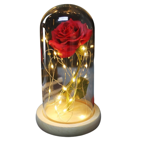 Rose éternelle sous cloche en verre