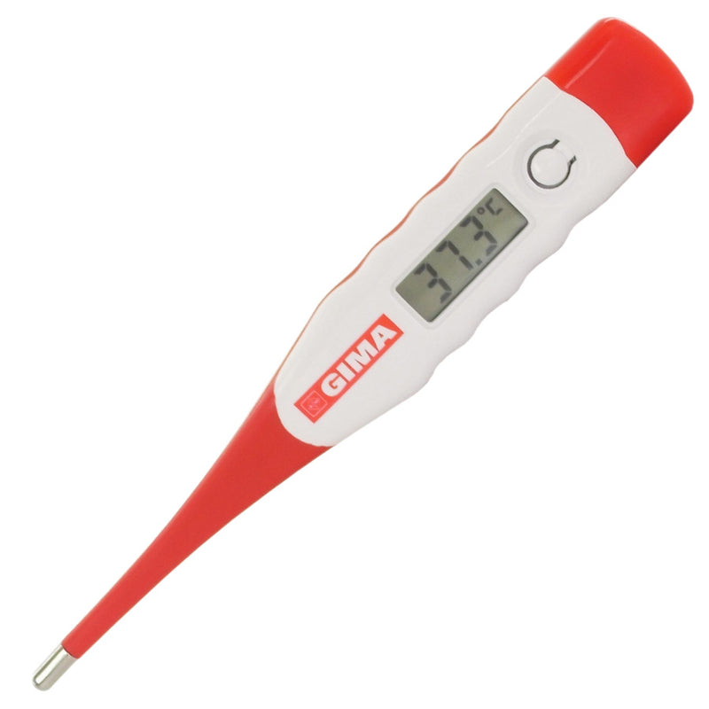 Thermomètre électronique