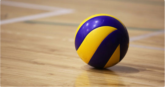 Ballon volley-ball