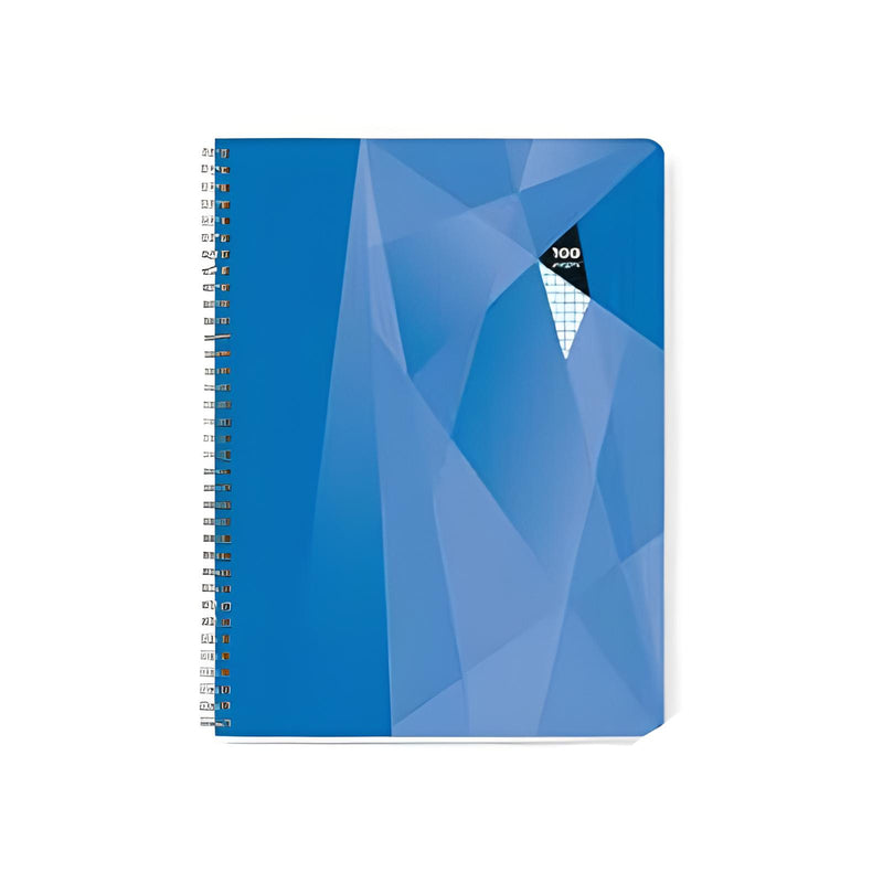 Cahier spirale format A4 24x32cm petits carreaux100 pages